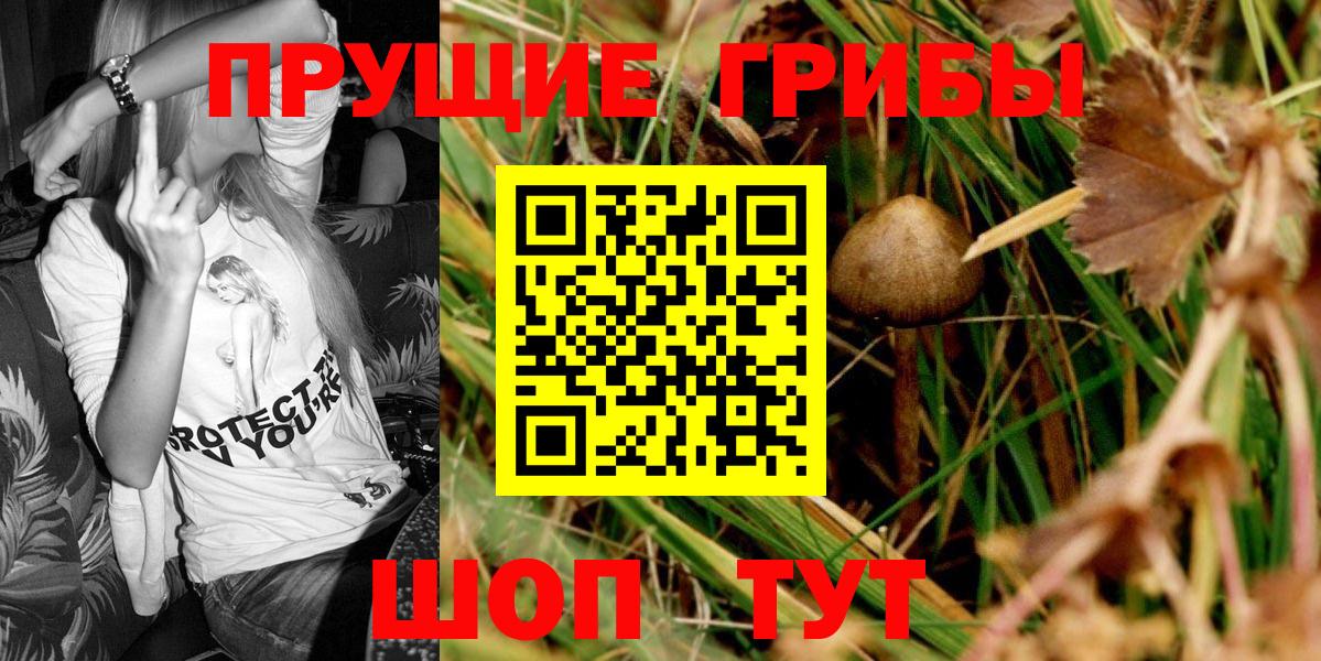 Малгобек  Псилоцибиновые грибы MAGIC MUSHROOMS  Галлюциногенные грибы мухоморы  Вход с VPN 