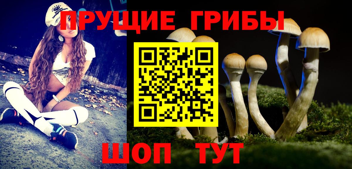 Псилоцибиновые грибы мухоморы Малгобек